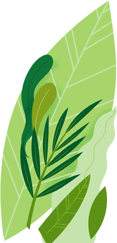 Kobi Tech Agri Solutions