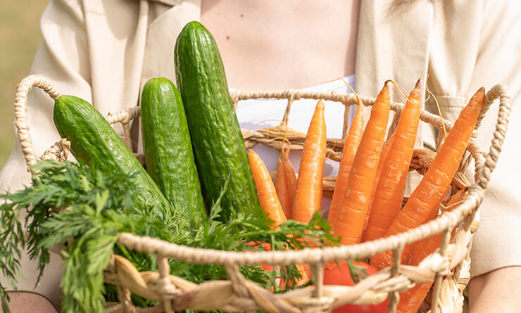 Kobi Tech Agri Solutions