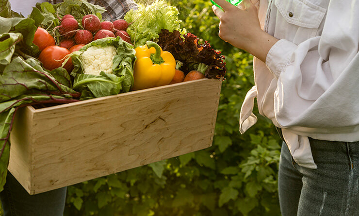 Kobi Tech Agri Solutions