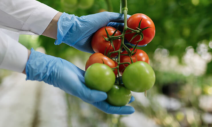 Kobi Tech Agri Solutions