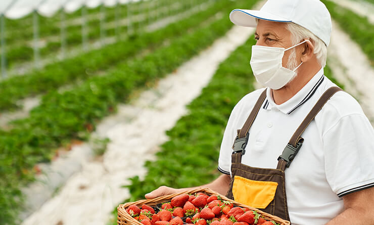 Kobi Tech Agri Solutions