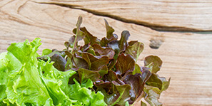 Kobi Tech Agri Solutions