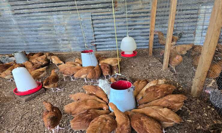 Kobi Tech Agri Solutions